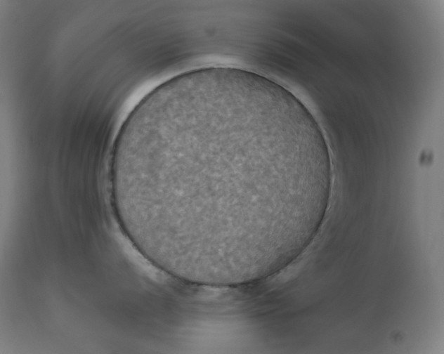 X0000114541056200911091128