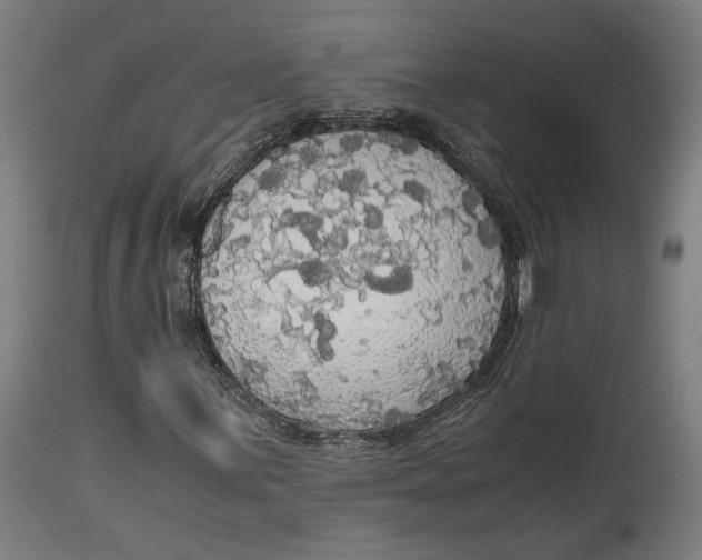 X0000114541059200911091128