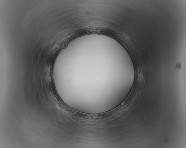 X0000114541060200911091128