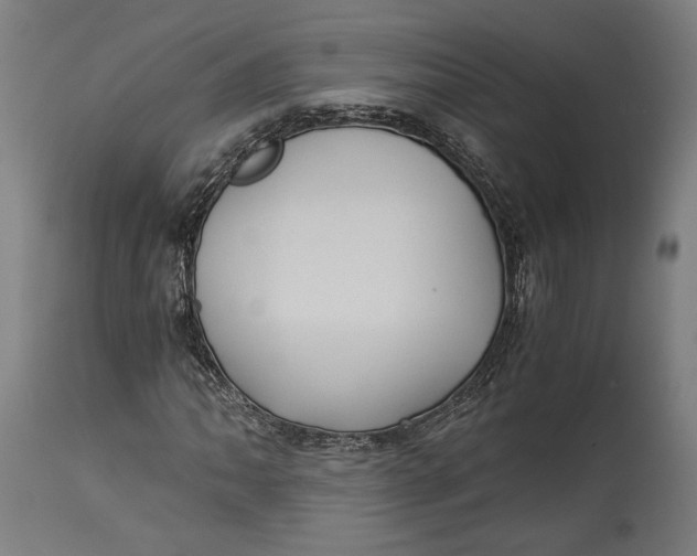 X0000114541062200911091128