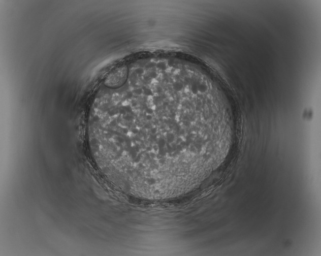 X0000114541063200911091128