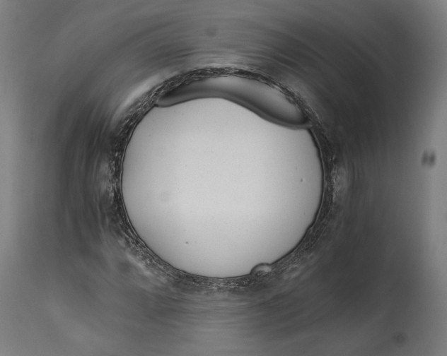 X0000114541064200911091128