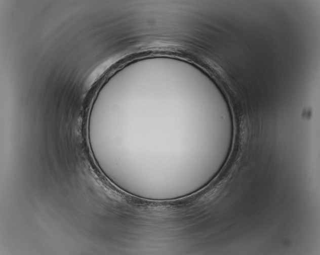 X0000114541066200911091128