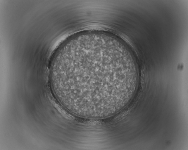 X0000114541067200911091127