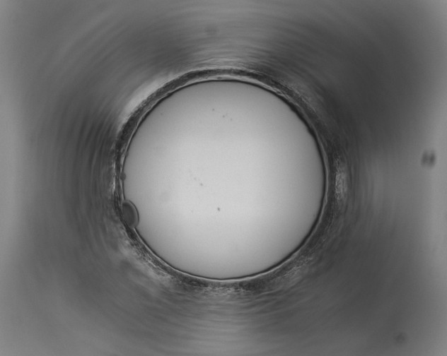 X0000114541069200911091127