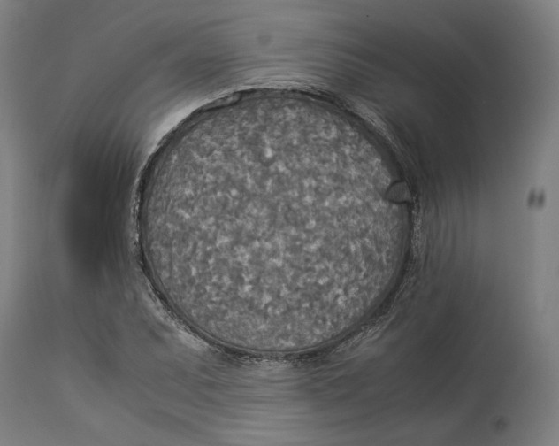 X0000114541071200911091127