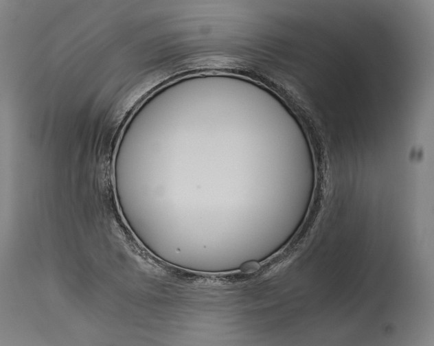 X0000114541073200911091127