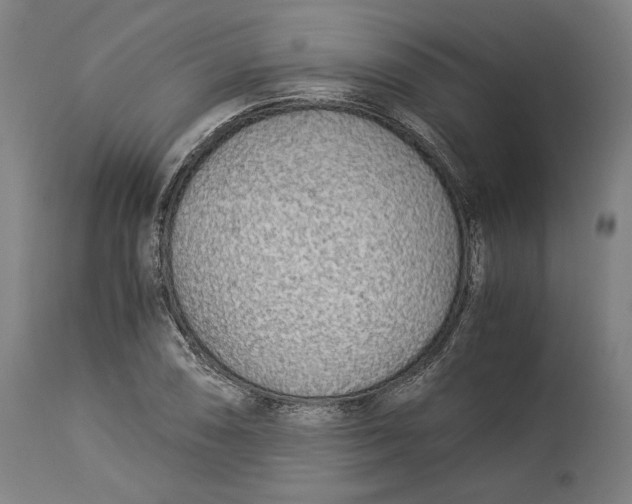 X0000114541074200911091127