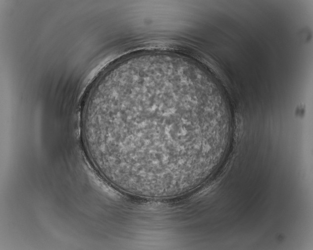 X0000114541075200911091127