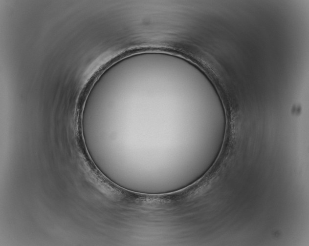 X0000114541077200911091127