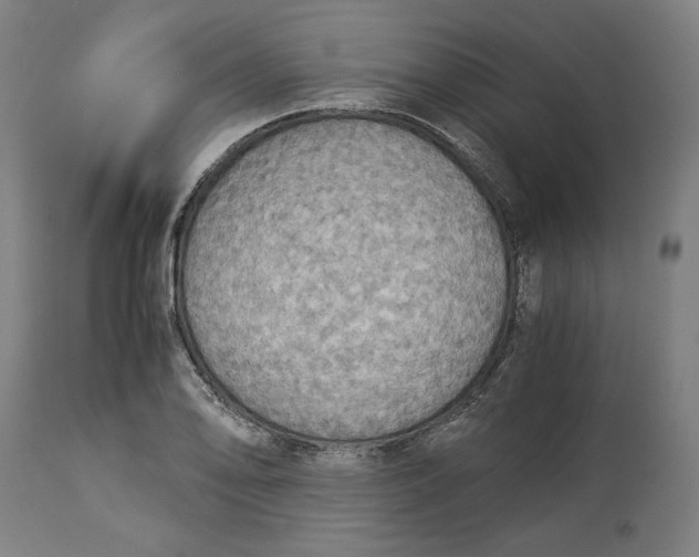 X0000114541078200911091127