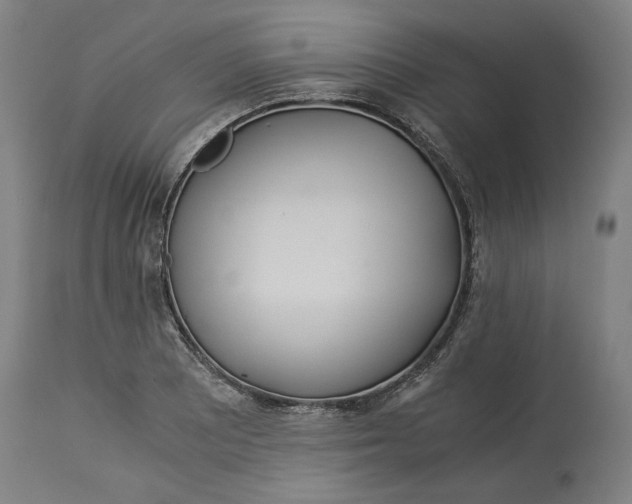 X0000114541081200911091127