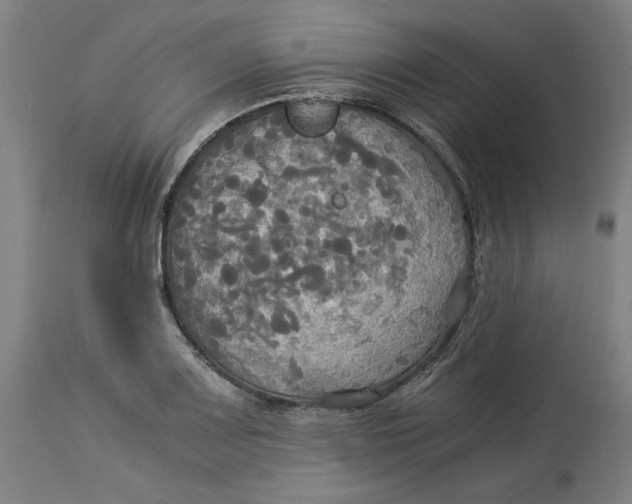 X0000114541083200911091127