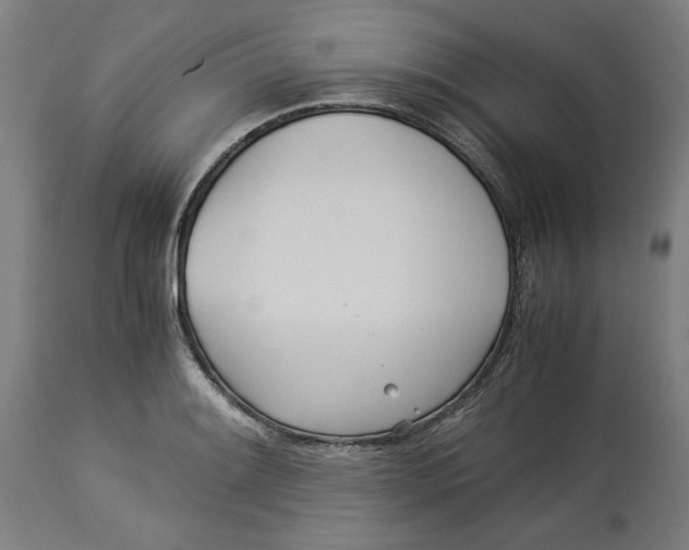 X0000114541084200911091127