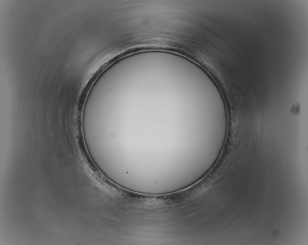 X0000114541085200911091127