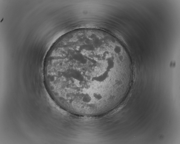 X0000114541087200911091127