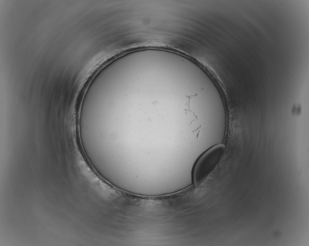 X0000114541088200911091127