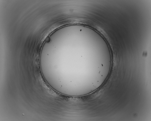 X0000114541089200911091127