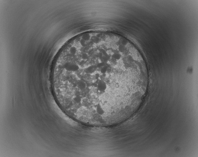 X0000114541091200911091127