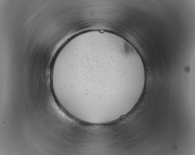 X0000114541092200911091127