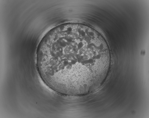 X0000114541095200911091127