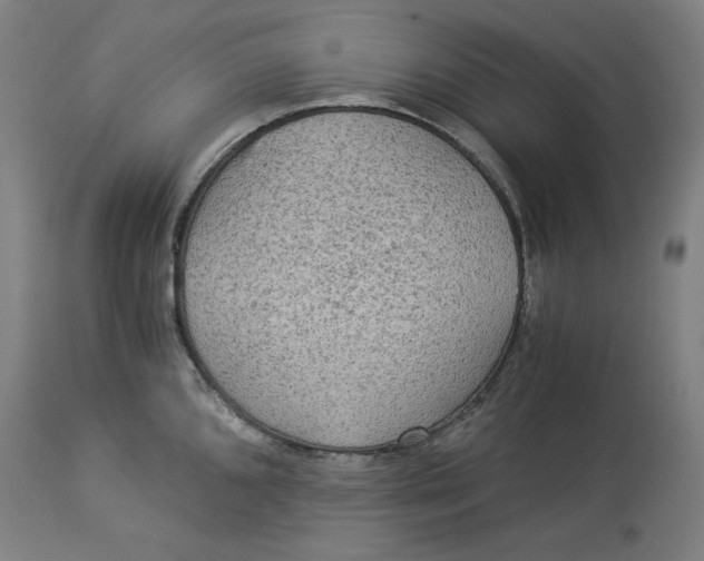 X0000114541096200911091127