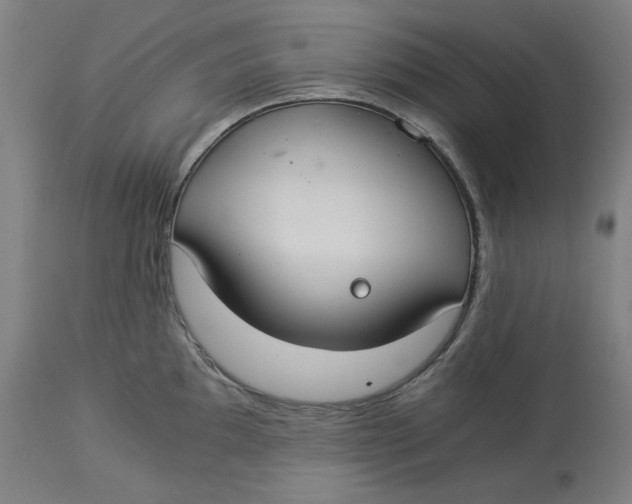 X0000114541097200911091127