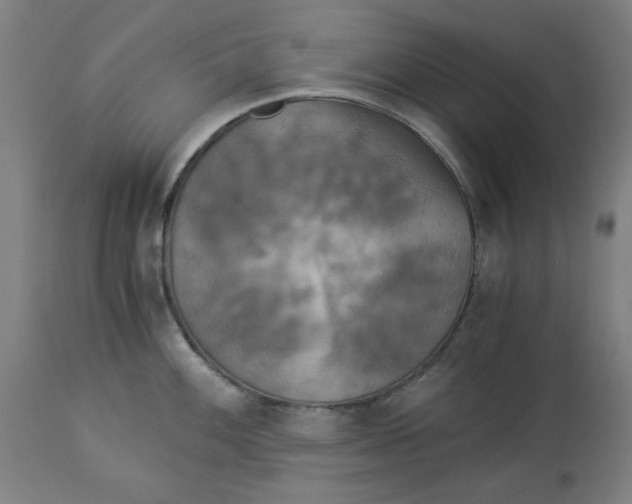 X0000114541100200911091127