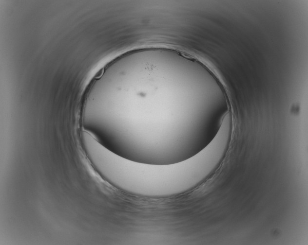 X0000114541101200911091127