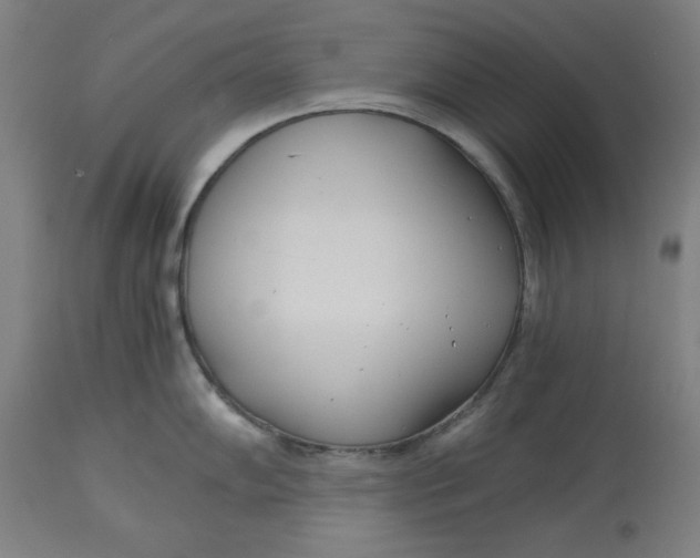 X0000114541102200911091127