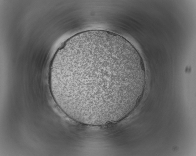 X0000114541104200911091127