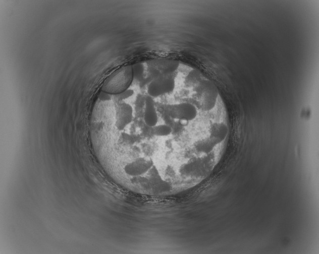 X0000114541105200911091126