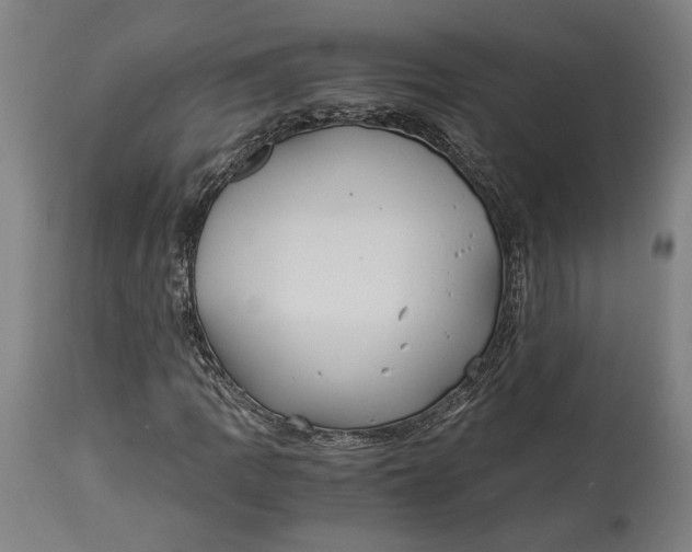 X0000114541109200911091126