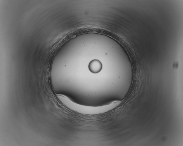 X0000114541110200911091126