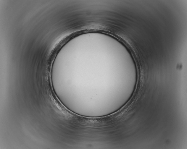 X0000114541115200911091126