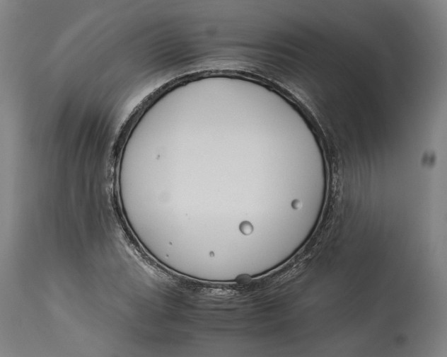 X0000114541119200911091126