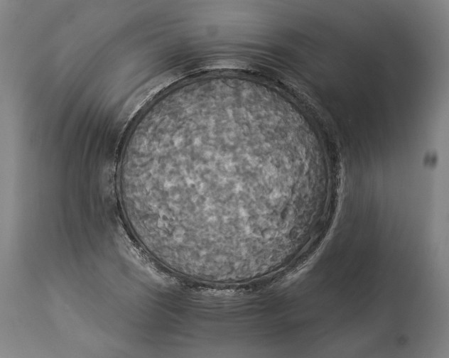 X0000114541121200911091126