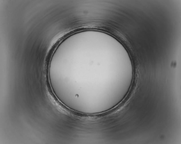 X0000114541122200911091126