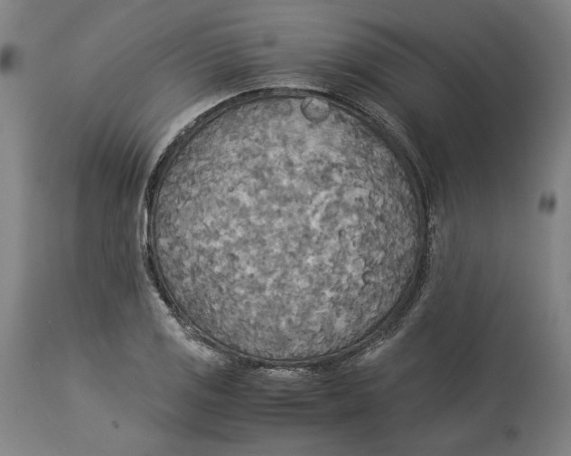 X0000114541125200911091126