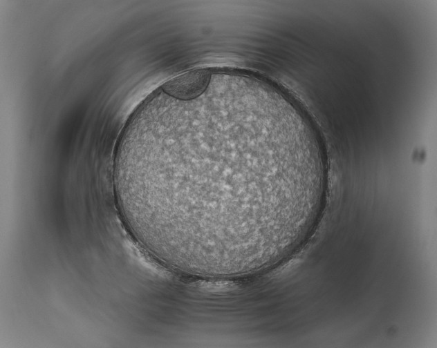 X0000114541129200911091126