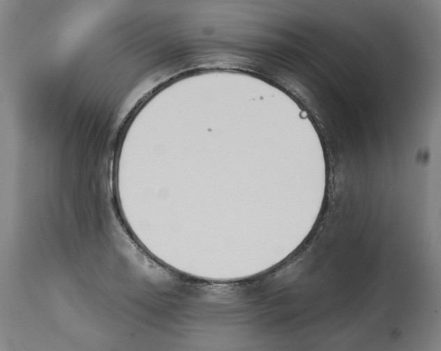 X0000114541130200911091126