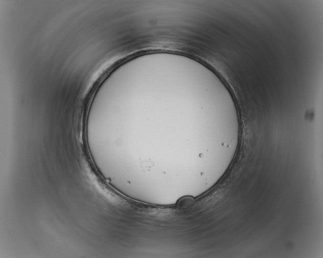 X0000114541131200911091127