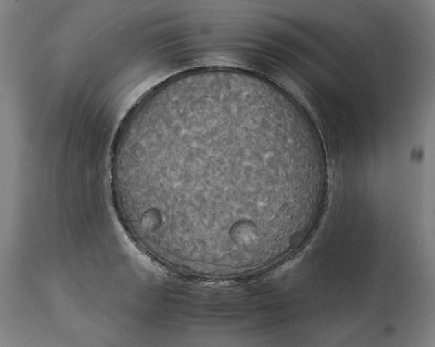 X0000114541133200911091127