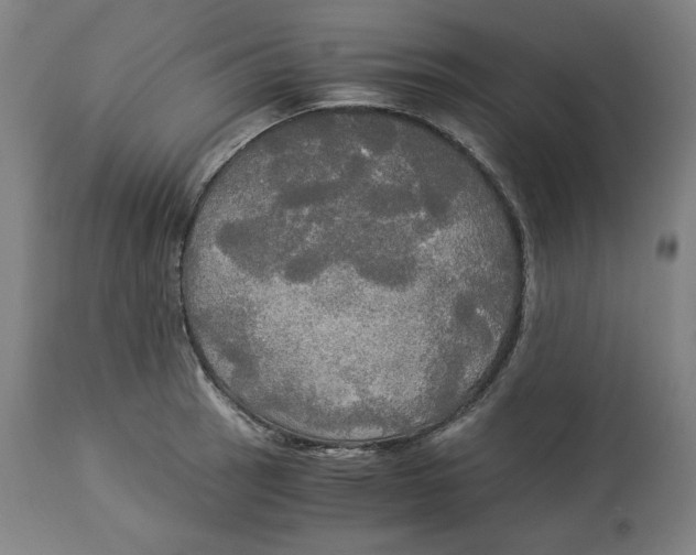 X0000114541137200911091127