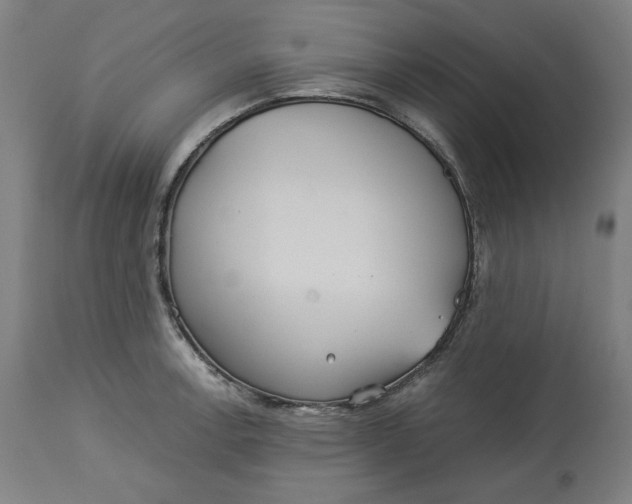 X0000114541138200911091127