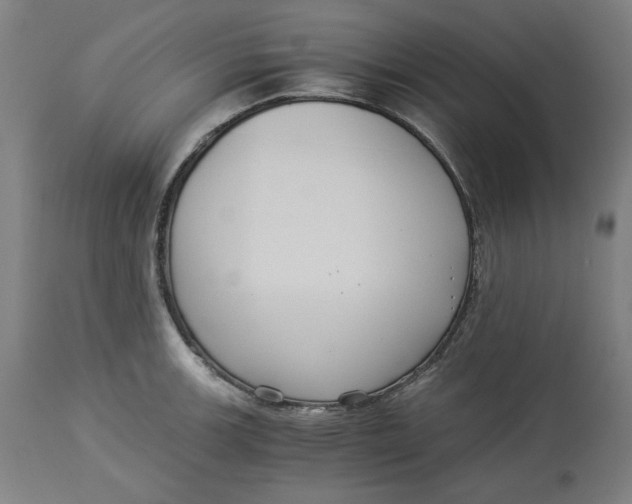 X0000114541139200911091127