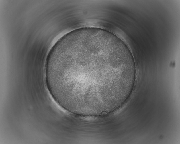 X0000114541141200911091127