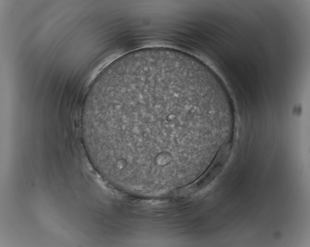 X0000114541145200911091127