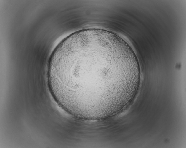 X0000114541149200911091127