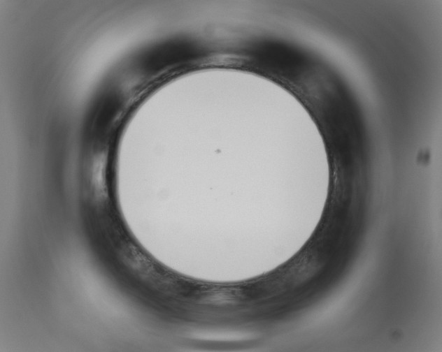 X0000114541150200911091127